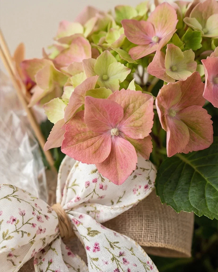 A ti Mujer... Celébrate!