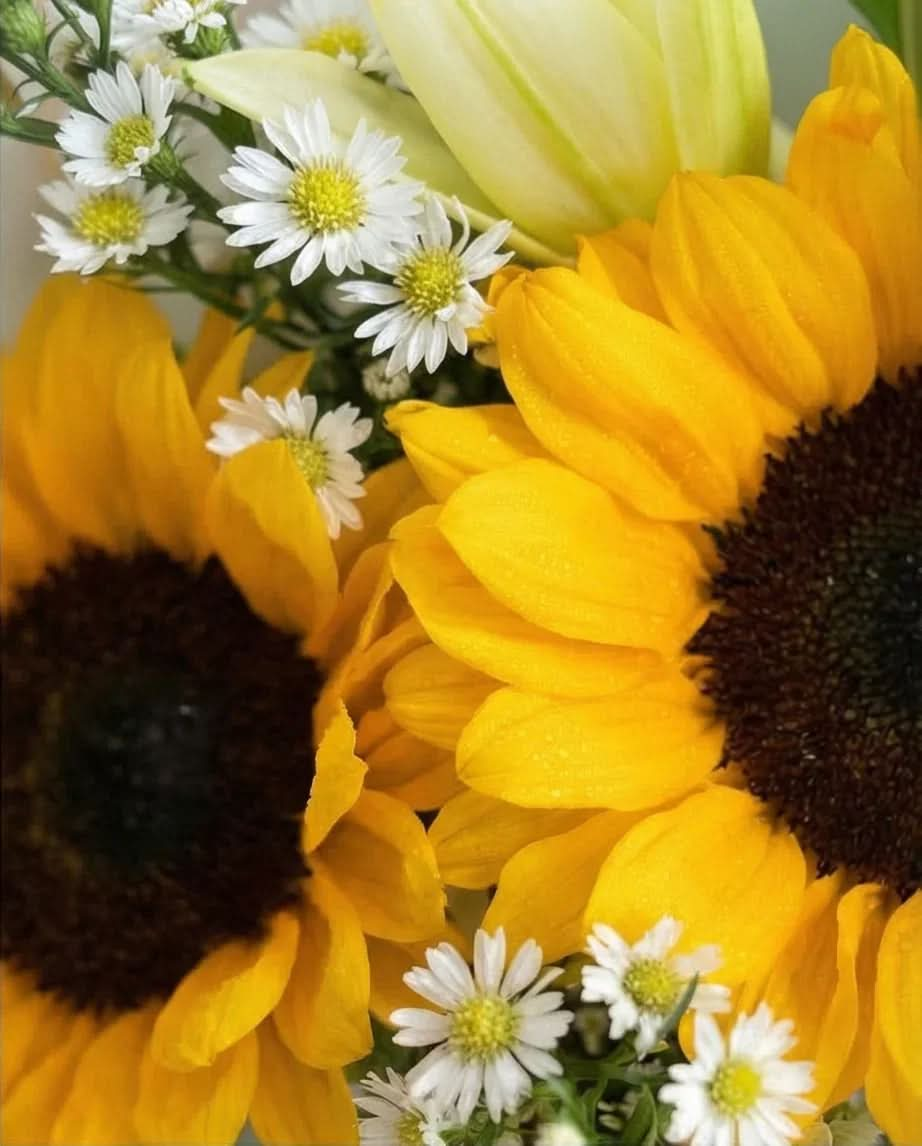 Golden Bloom - FLOVERS Flower Shop